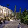 Garden Cactus