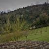 Agriturismo Monterone