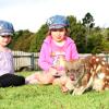 Lamington National Park Road, Canungra, QLD 4275, Australia.