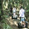 Lamington National Park Road, Canungra, QLD 4275, Australia.