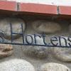 Les Hortensias