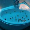 Guesthouse Oneiro