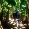 Bule Homestay Cianjur