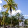 Turtle Bay, Balaclava, Mauritius.