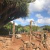Finca El Vergel Rural