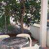 Apartment Dragovic