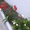pienosole B&B