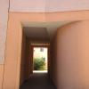 Haydnsuite