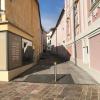 Haydnsuite