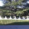 Belvedere Valenza
