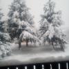 Affittacamere Les Noyers