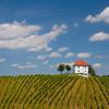 Wine Grower's Mansion Zlati Gric