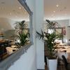 Hotel Noia