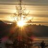 Ferienhaus Hubertus Tirol 1-8 Personen