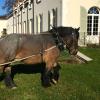 le clos des belvals