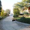 B&B Nella Natura