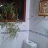 Casas Rurales Los Marantes