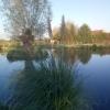 chambre coin nature