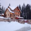 Vidra Parc