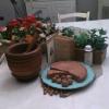 B&B Col di Piagge