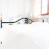 Villino Al Dotto Country House