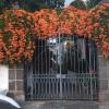 Casita del Medianero