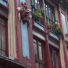 Loft 7calles, Casco Viejo. Bio