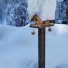Haus Fichtenblick