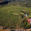 Finca Son Cifre Manacor by PriorityVillas