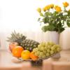 Apartman Urban Nature