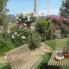 Il Vecchioliveto di Ornella