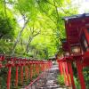 Kiyoicho, Higashiyama Ward, Kyoto, 605-0821, Japan.