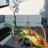 Ocean Dream Apartment- Air Condition