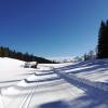 Waldfrieden