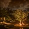 Rekawa Beach, Netolpitiya, Tangalle 82200, Sri Lanka.