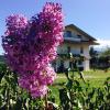 Agriturismo Le Terre d'Abruzzo Country House