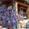 B&B Villa Sbaraglia
