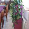 Hostal El Tropezón