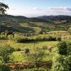 Residenza Antico Chianti