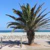 RESIDENCE LE NEULOS, T2 40m2 AVEC GARAGE PRIVE, 150 m de la mer, Avenue Roussillon Canet-Plage