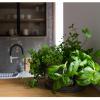 Gostynin Garden Apartment