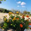 B&B Terre dì Montecoco