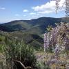 B&B I Glicini