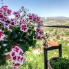 Vasiliou House Krimenos