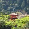 Kiyoicho, Higashiyama Ward, Kyoto, 605-0821, Japan.