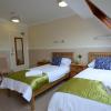Neuadd Henllan Lodge