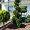 Appartements Kronig