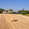 B&B Il Molinello