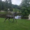 le jardin d Eau