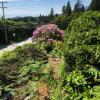 City Gardens Suites B&B